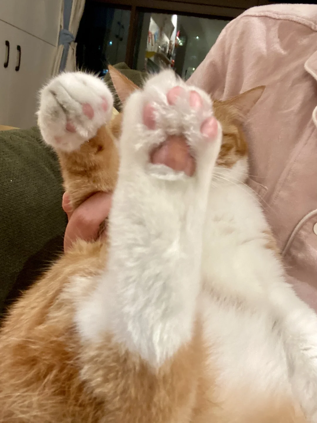 谁敢闻