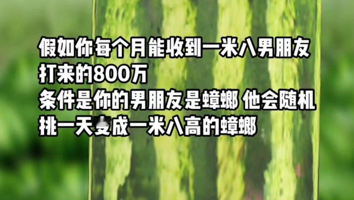 哈哈哈哈哈还是会笑 ​ ​​​