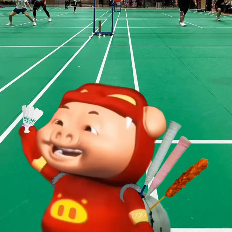 只有猪才能懂的亮点