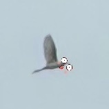 姐真的很好笑 谁懂