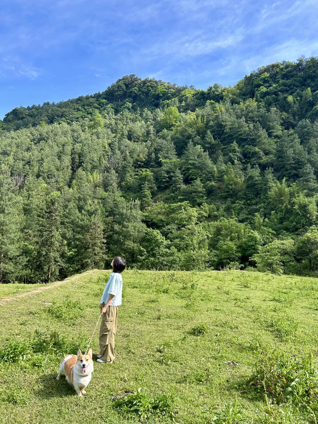 高兴镇霍比特环线，原图直出的秘诀是📸