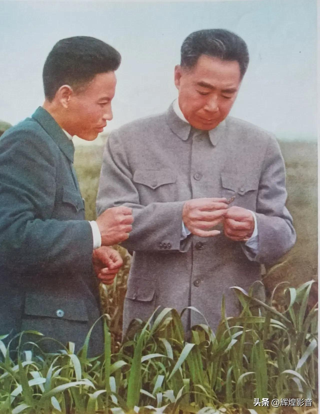 🌺🙏敬爱的周总理，致敬您的勤俭修身，传承您的德行初心！“静以修身，俭以养德”