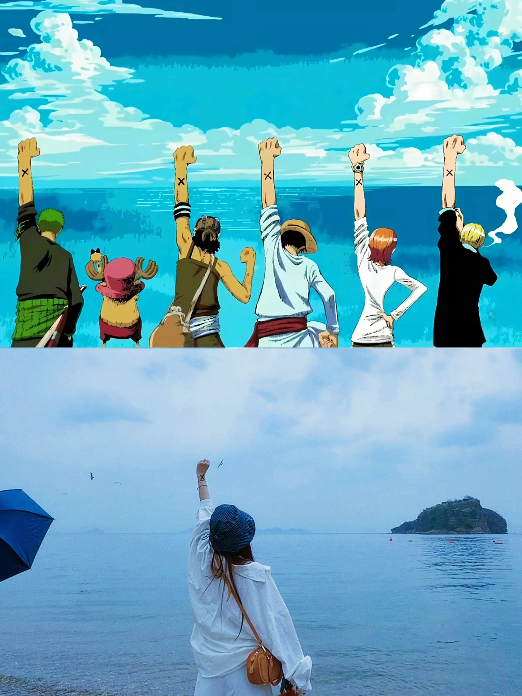我的ONE PIECE在哪里！