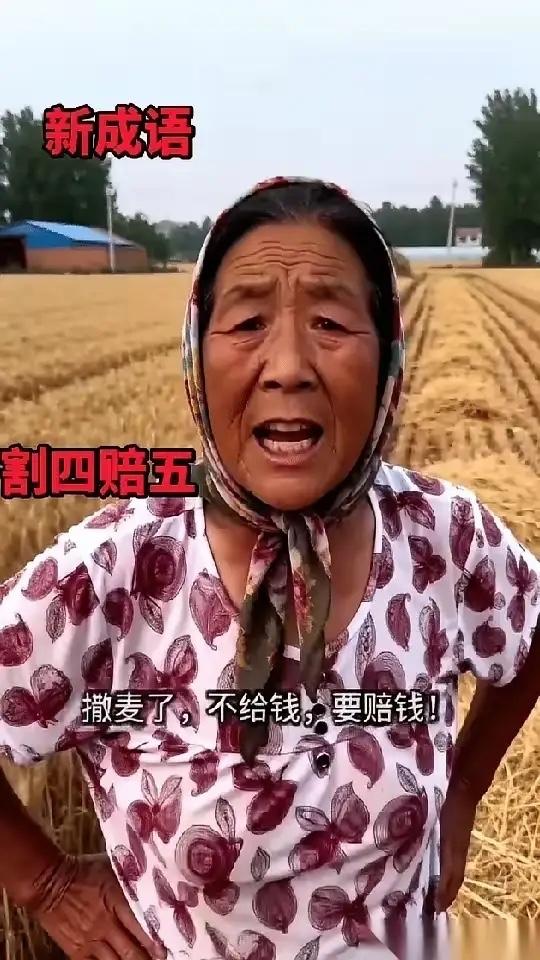 收割机圈里，有个不成文的规矩。活儿可以不好干，天可以热，但最怕的，是机器停了，人