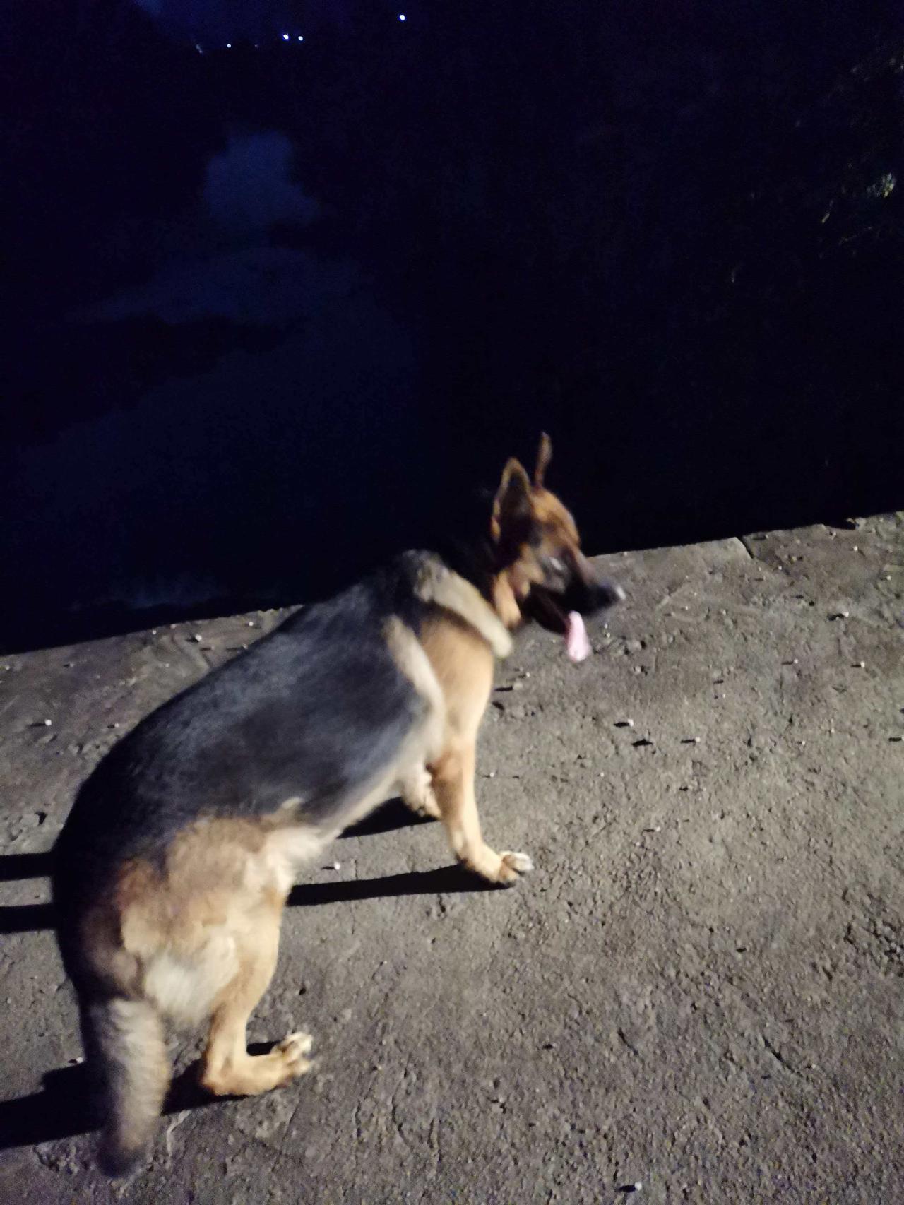 88年男，未婚未育，眼瞅着奔四。

仅有：四线城市一套小两居，一辆开了十年的小车