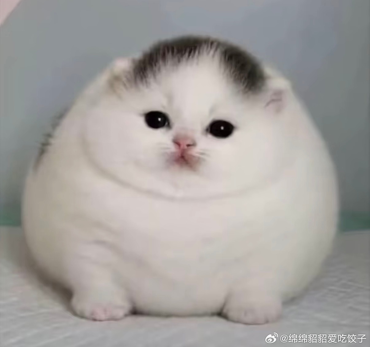 想敏敏