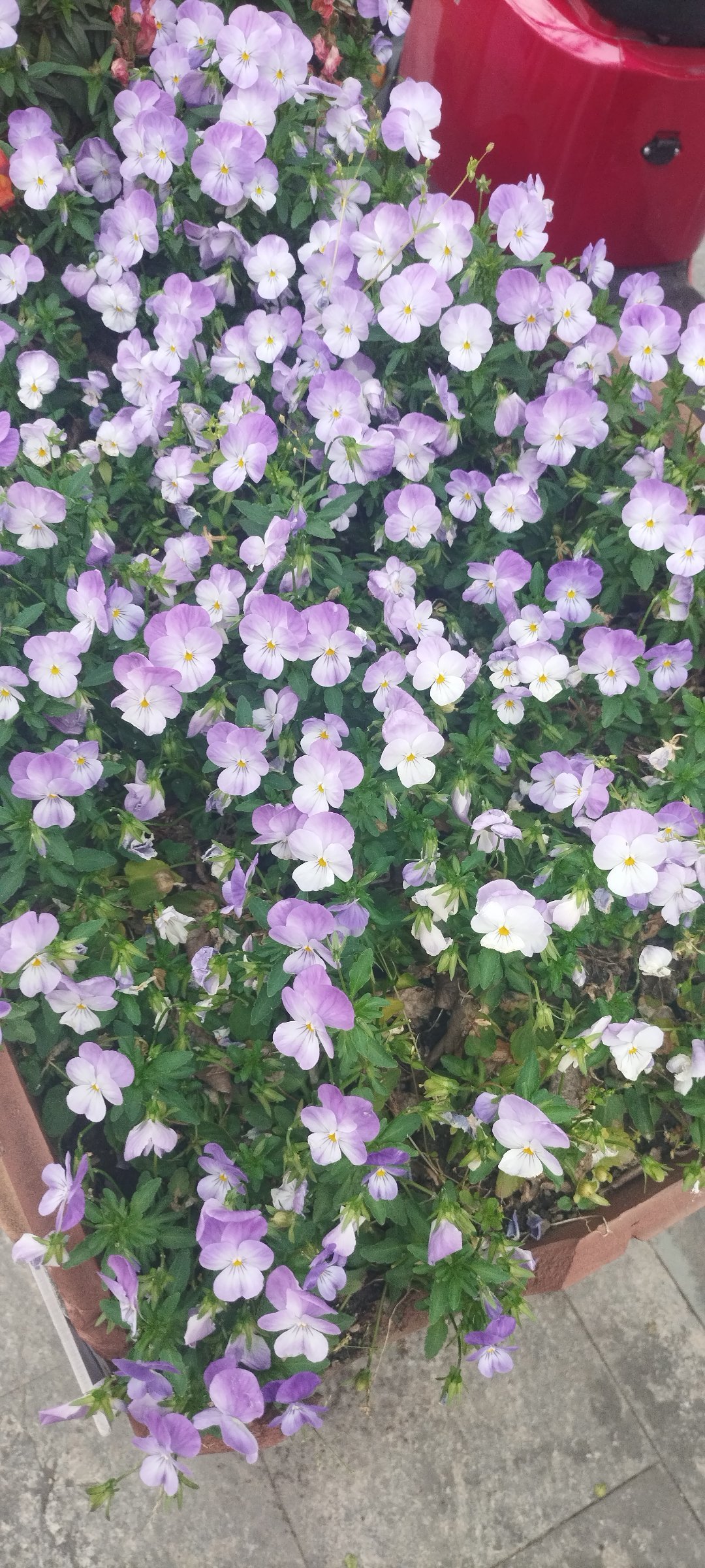 能聊到一起去很重要一直都觉得，能聊到一起去真的太重要了。不用小心翼翼找话题，不用