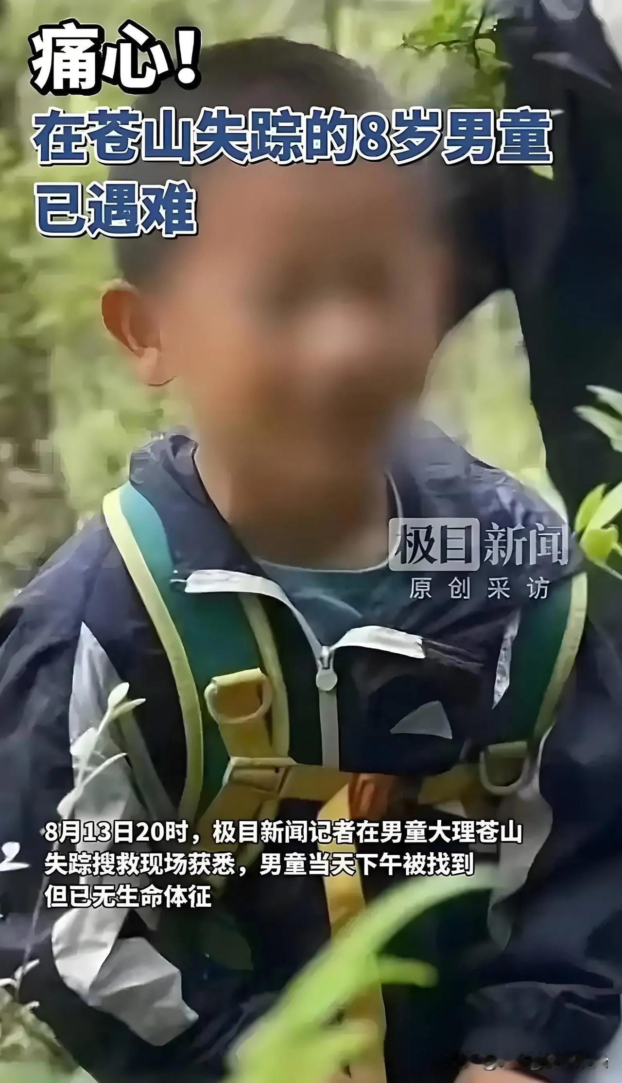 大理苍山遇难的8岁自闭症儿童事件有调查结果了。
涉事机构大理市湾桥镇破壁家政服务