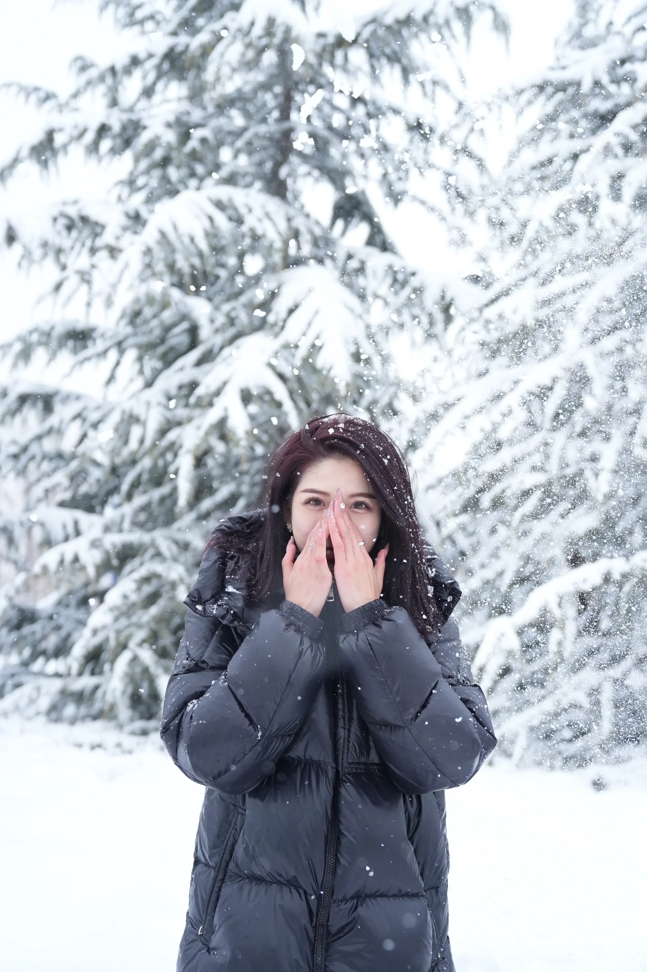 如果明天雪漫石家庄，那我就要扫雪了