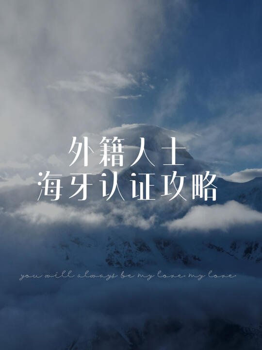 外籍人士海牙认证攻略