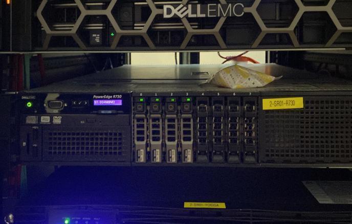 俄《俄罗斯商业咨询日报》：谷歌计划从俄罗斯运出老旧服务器

据报道，这些服务器上