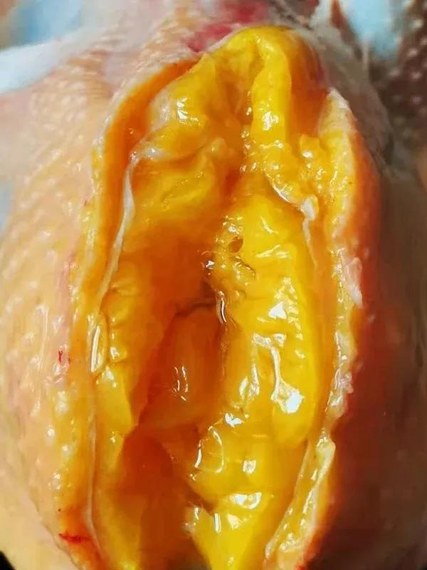 这么多黄黄的鸡油，可以吃吗？到底是留下还是扔掉呢？ 

我回老家度周末时，购买了