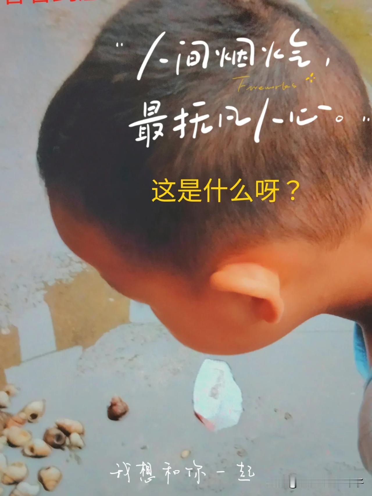 昨天女儿带小孩来家里玩，不知道从哪儿捡了一些小东西来，就说是小海螺，我看哪像小海