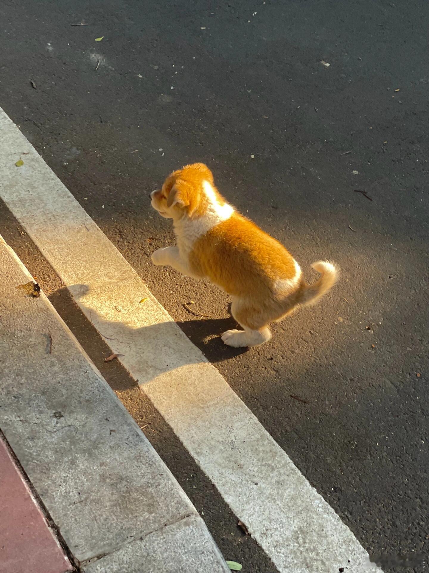 如果你过得好，就什么都不要晒，藏是最保险的方式。如果你过得不好，什么不要说，因为