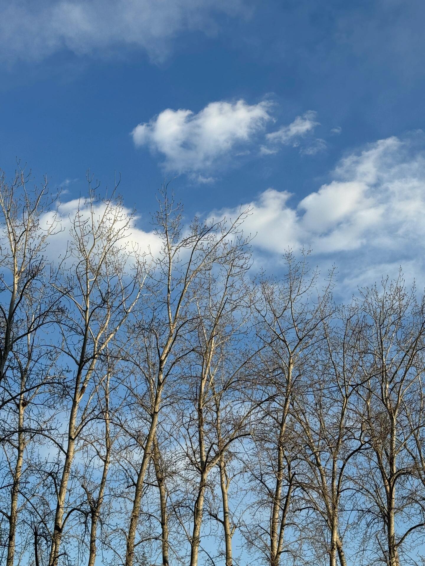 周末必做的几件充电小事.🕚 睡到自然醒🕛 做一份自己想吃的早午餐🕐 坐在床