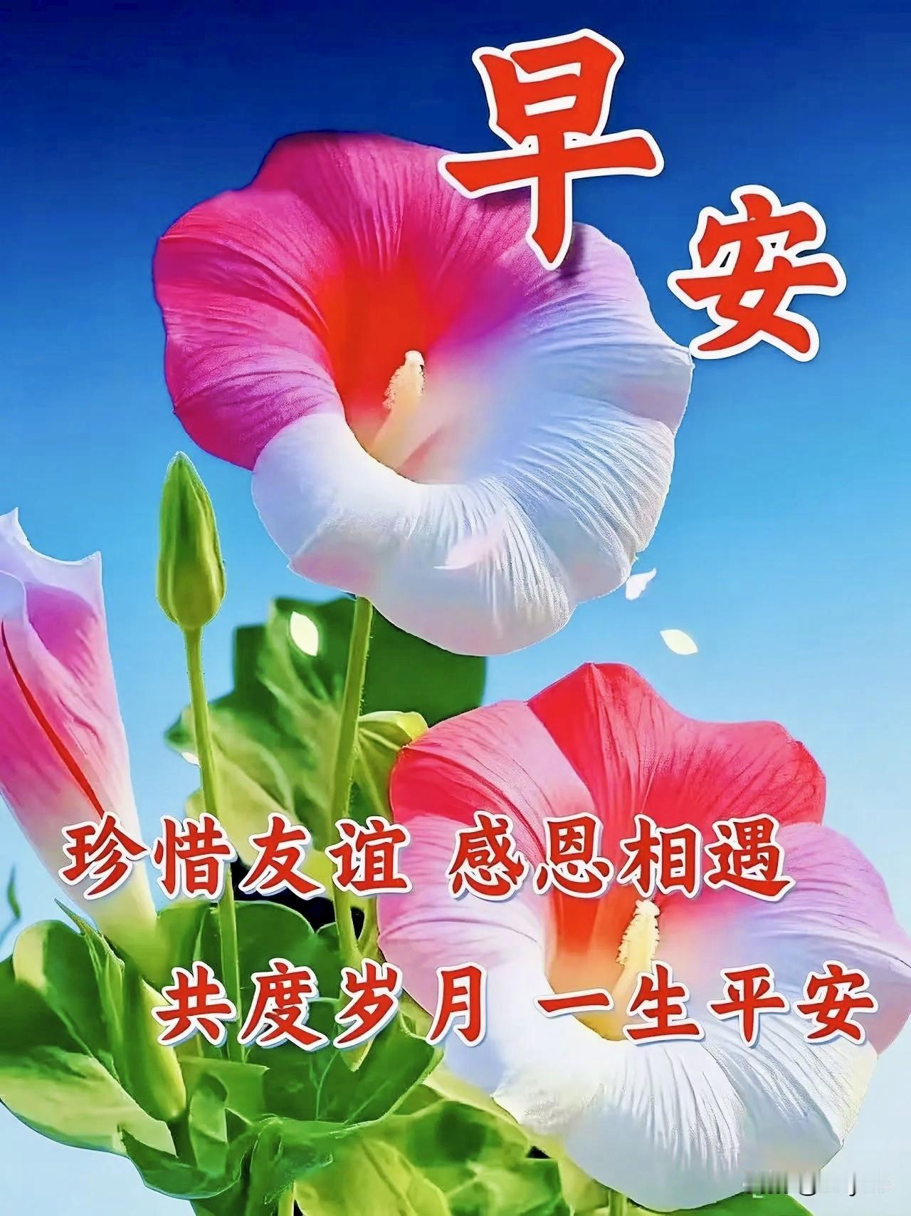 最暖心的话语，
莫过于一句早安。
是牵挂，是关怀，
亦是最深的祝愿。
愿你我平安