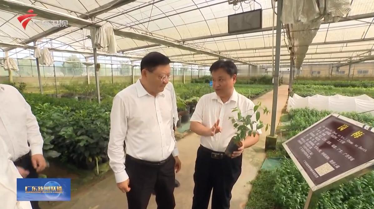 7月31日，广东省领导到茂名化州市调研。