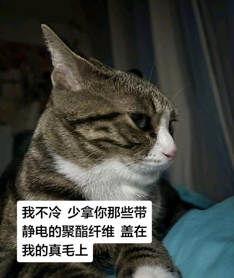 笑不活了！一身聚酯纤维的我怎么敢碰纯毛的你[捂脸]，说的就是冬天的铲屎官！
 