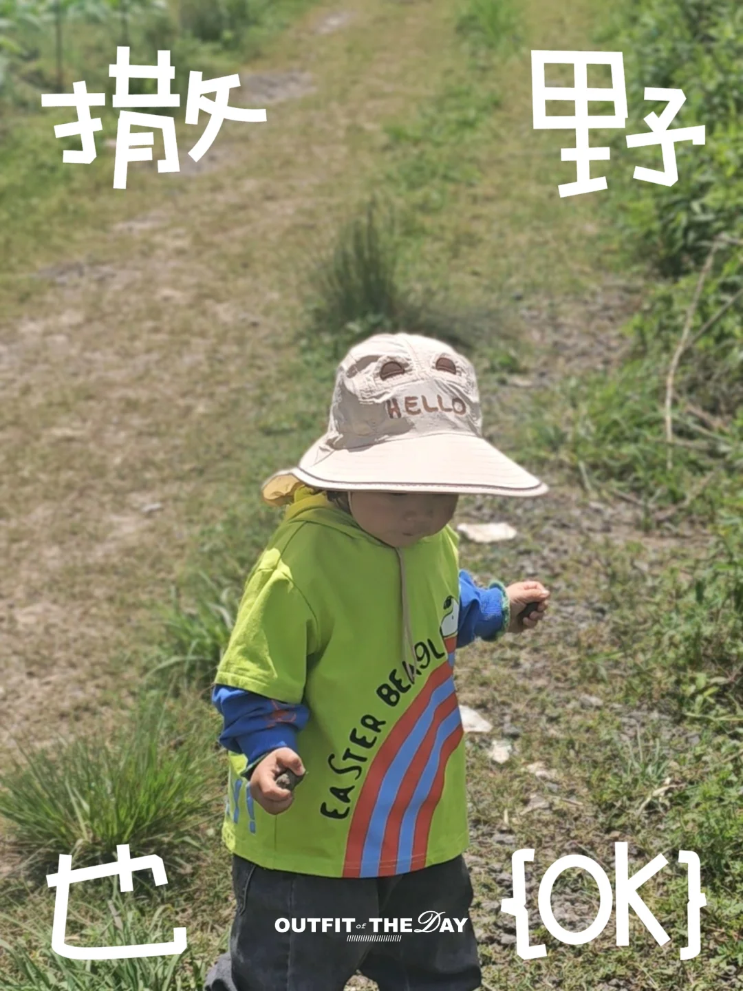 🌿 回村的日子，连风都慢下来了