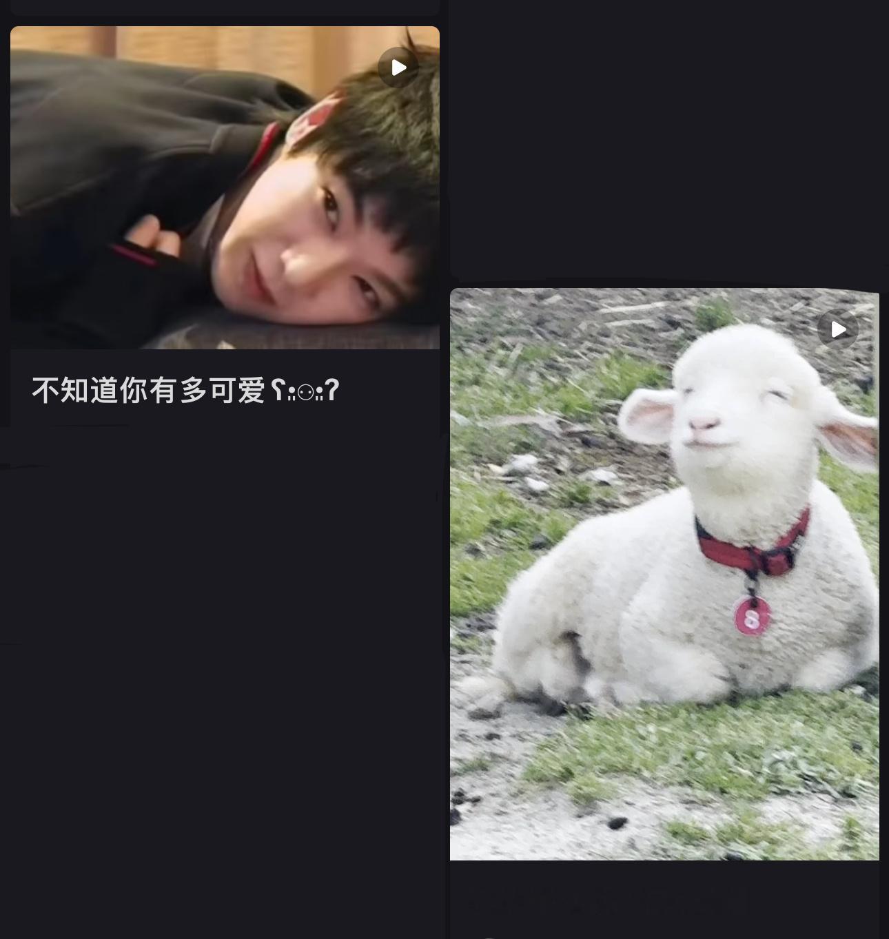 小羊说：“你们快给我牵一只羊来～”“我不要次草🥺”可爱小羊炸炸🥺 