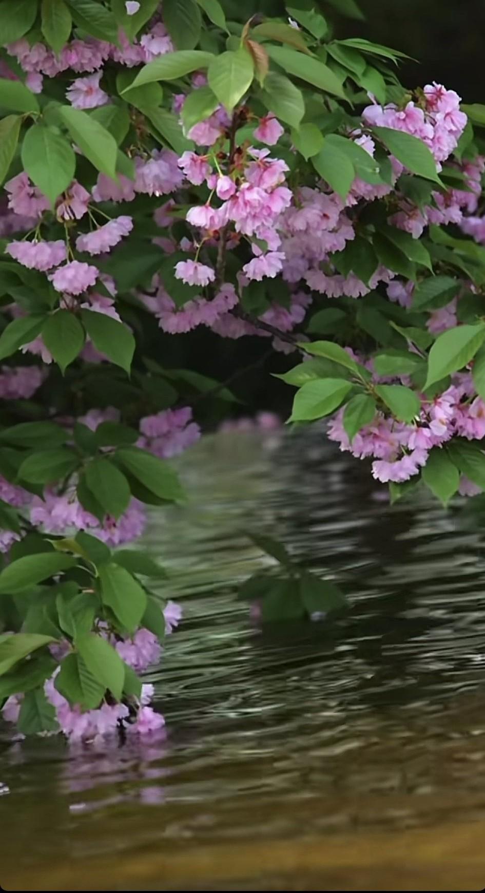 这件事藏在心里四十年，想忘也忘不掉。
       我五六岁那年，家里很穷，我又
