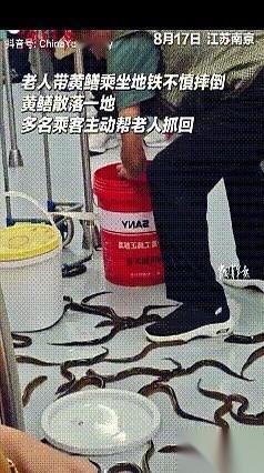 我的妈呀，今天在地铁上，差点给我当场送走！
你敢信？正低头刷着手机，突然“哐当”
