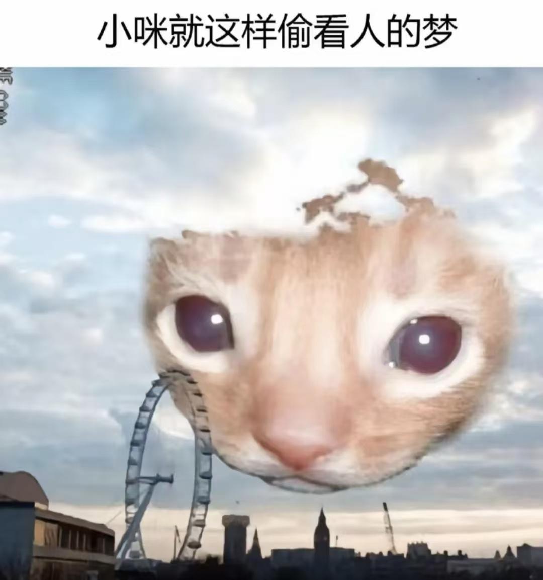 坏咪咪 ​​​