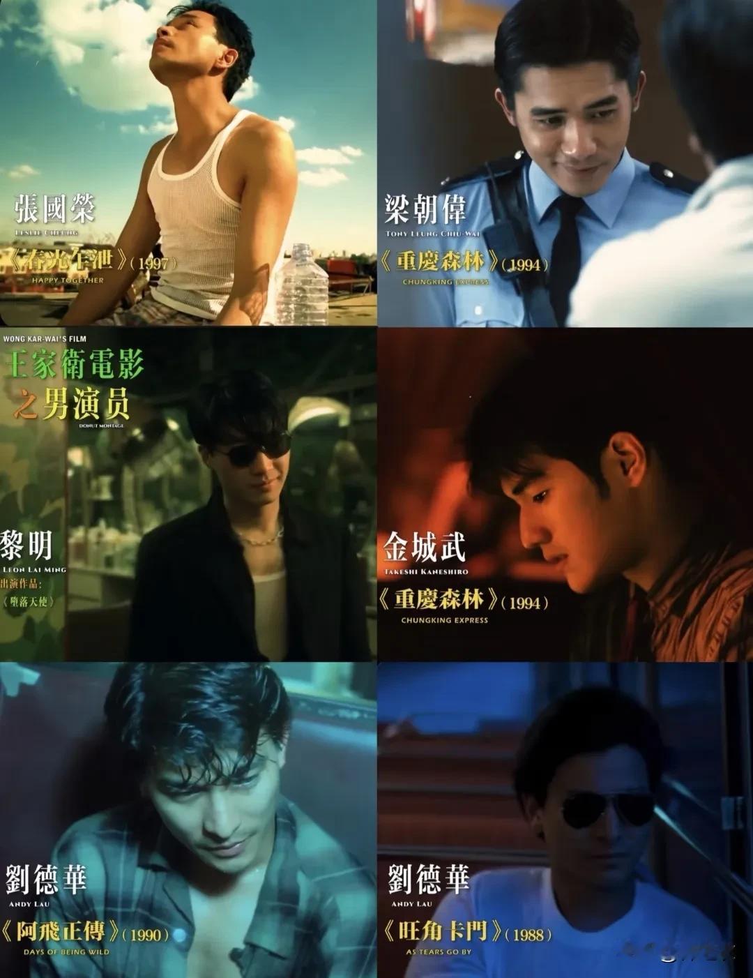 王家卫这个人虽然嘴巴碎，但他确实是很有才华，可能是他有着顶级挑演员的审美能力，毕