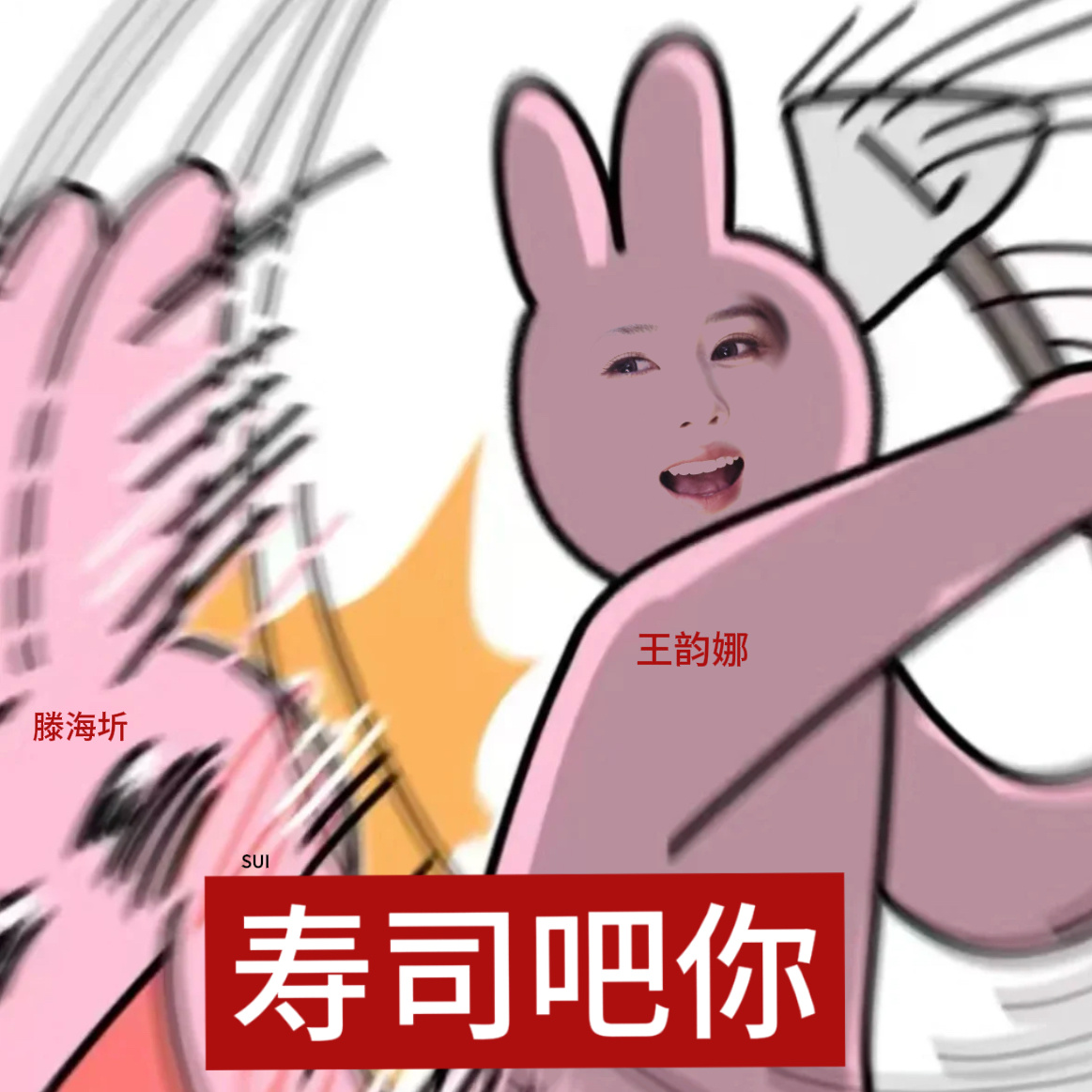 白鹿王韵娜开到荼蘼剧宣表情包白鹿告别欢娱