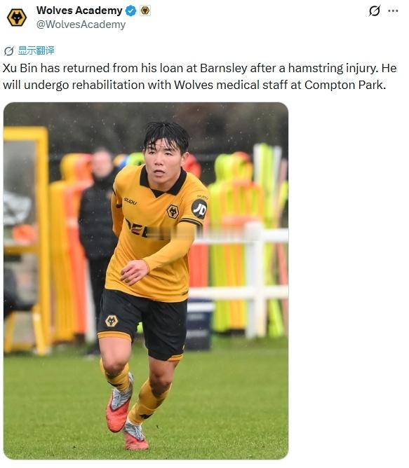 狼队公告：徐彬在巴恩斯利租借期间遭遇腿筋受伤，现已回归球队。他将在康普顿公园与狼