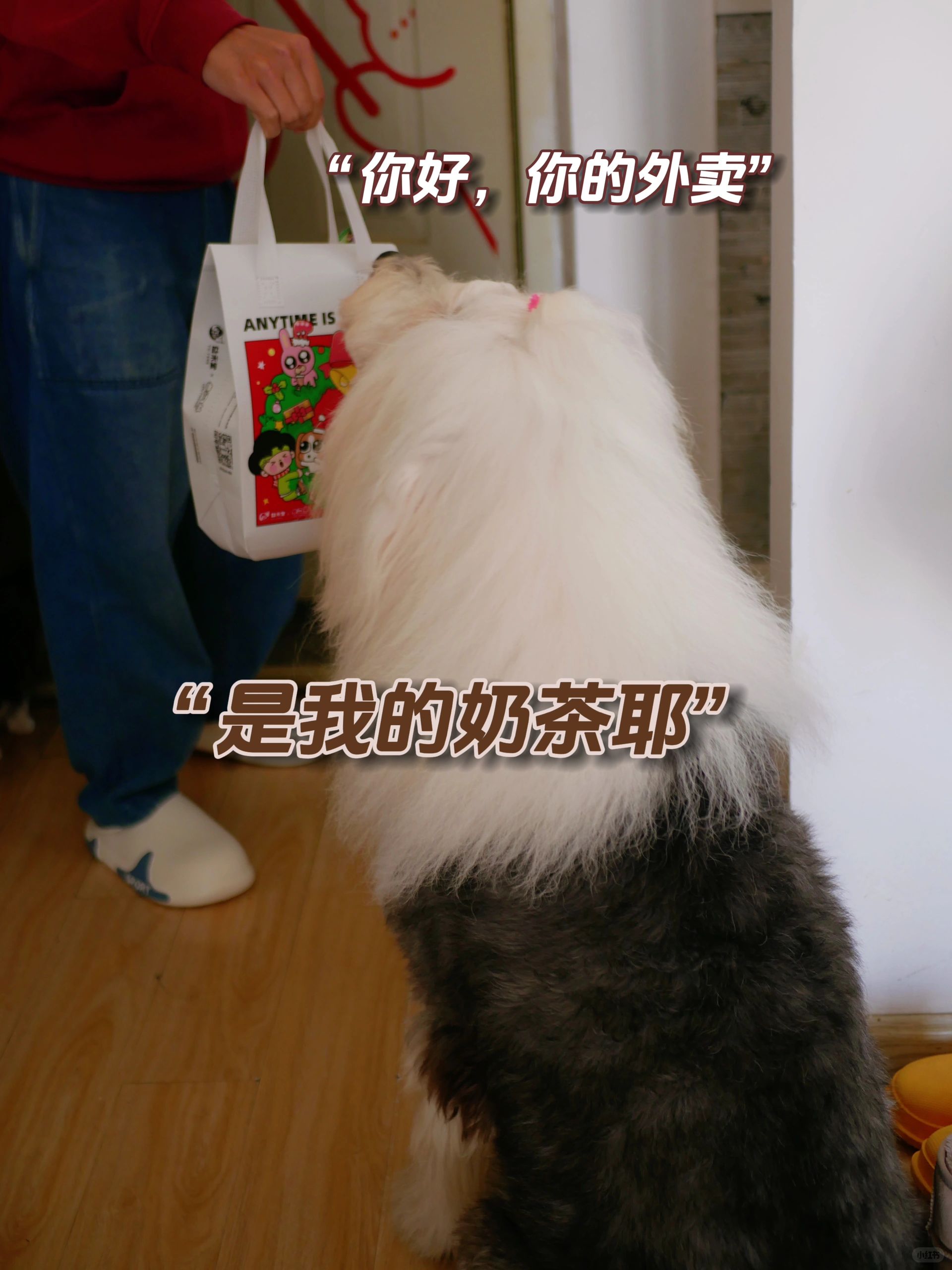 古牧：我麻说太冷了给我点了杯热奶茶！