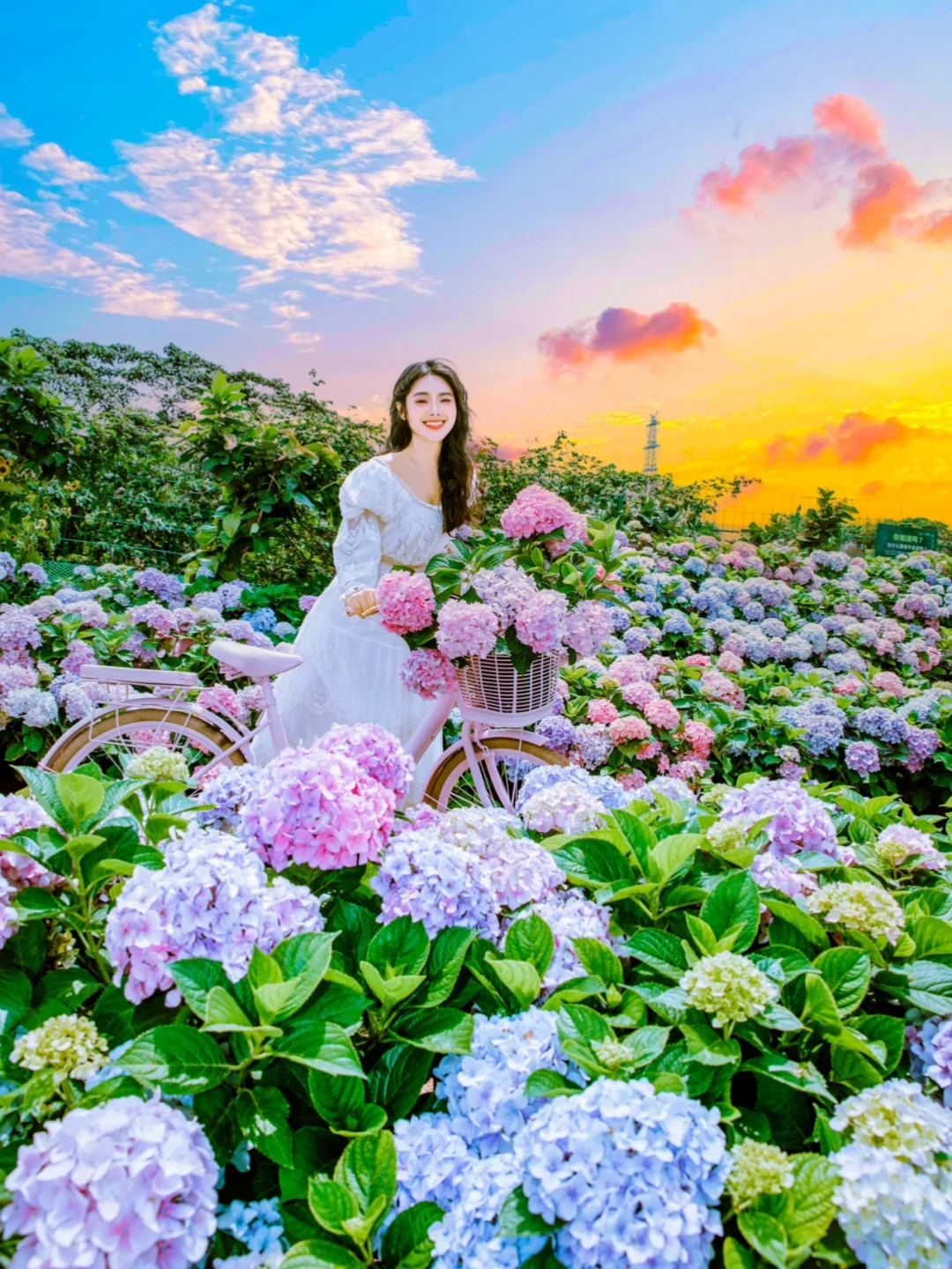 🌸存一些花海拍照姿势 📸️