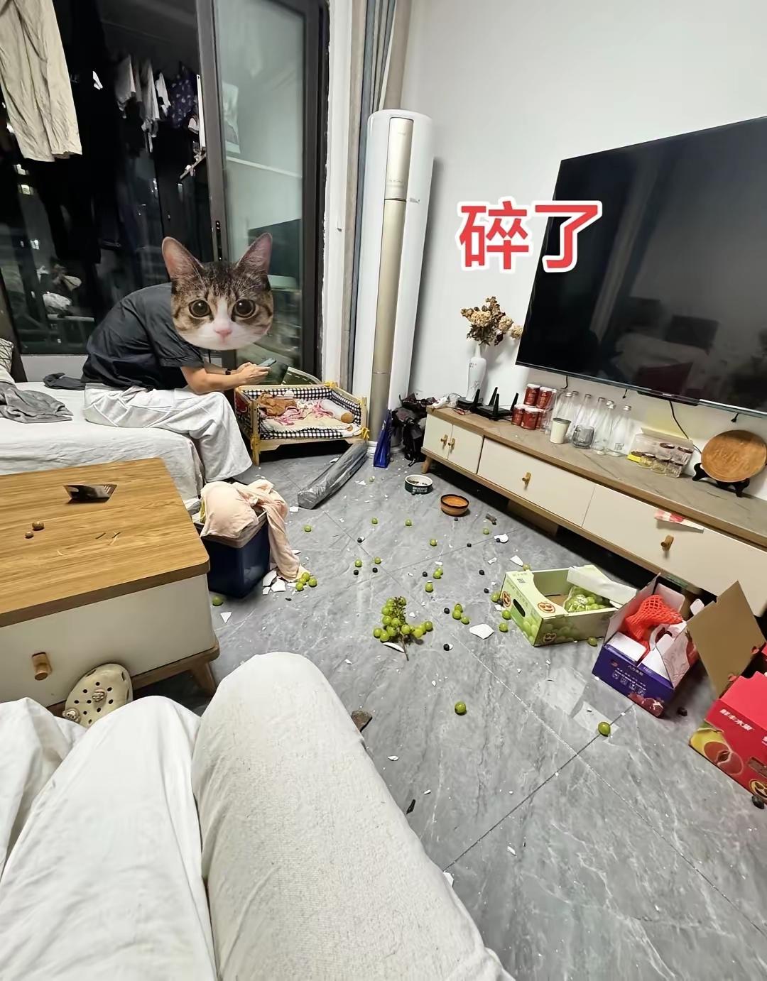 中年一旦失业，家里只会鸡飞狗跳，想要过的幸福，大概率做不到，很多人只会以离婚收场