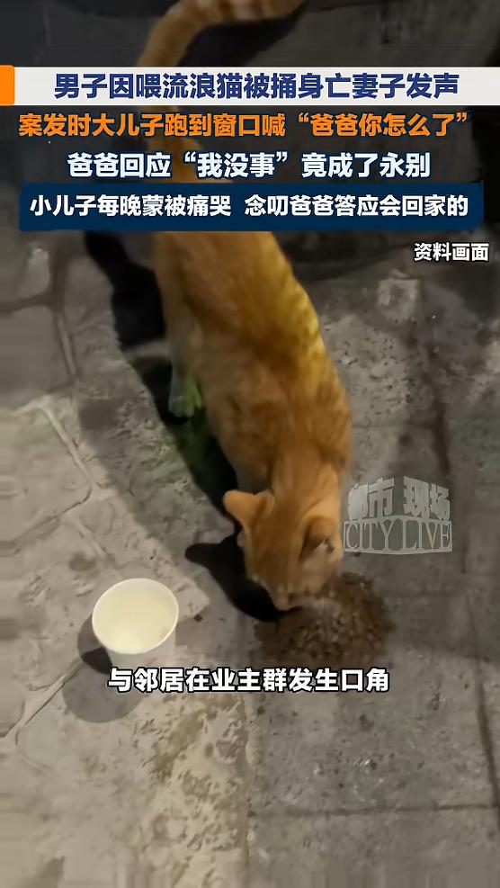 “必须严惩！”2025年12月，内蒙古，一男子在小区喂流浪猫，邻居和他在业主群吵