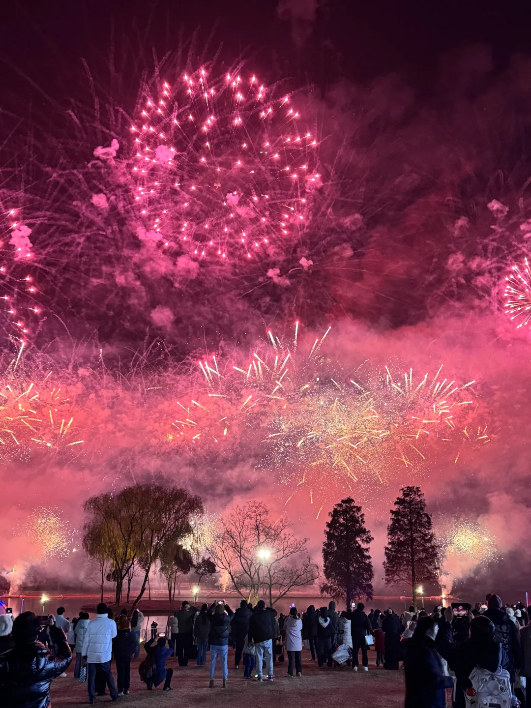 Live图的意义🎆南京这里的烟花浪漫哭了