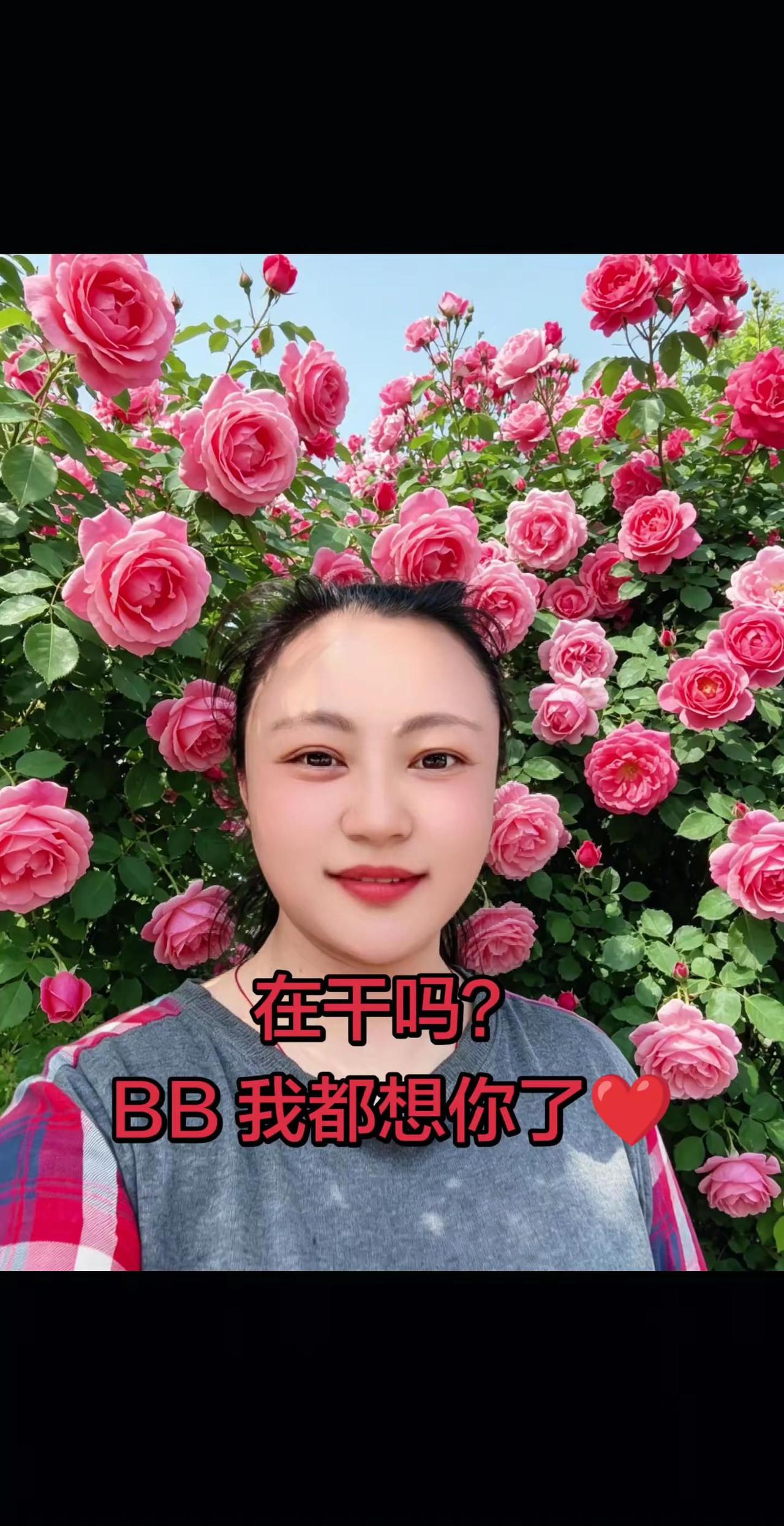 清晨的思念，是我对你的第一声问候-