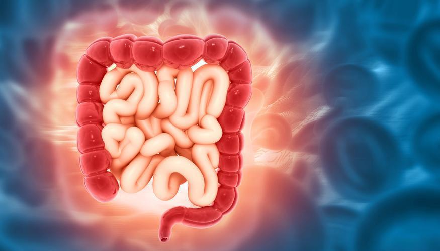 “医生，我大便不稀也不疼，就是最近总粘马桶，擦好几遍都擦不干净，这算病吗？”门诊