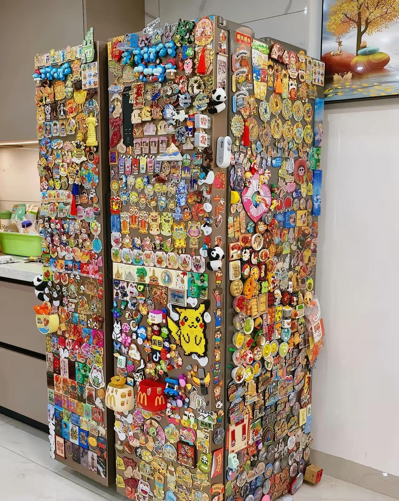 天呢！无形中让冰箱多负了重十几斤的重量。