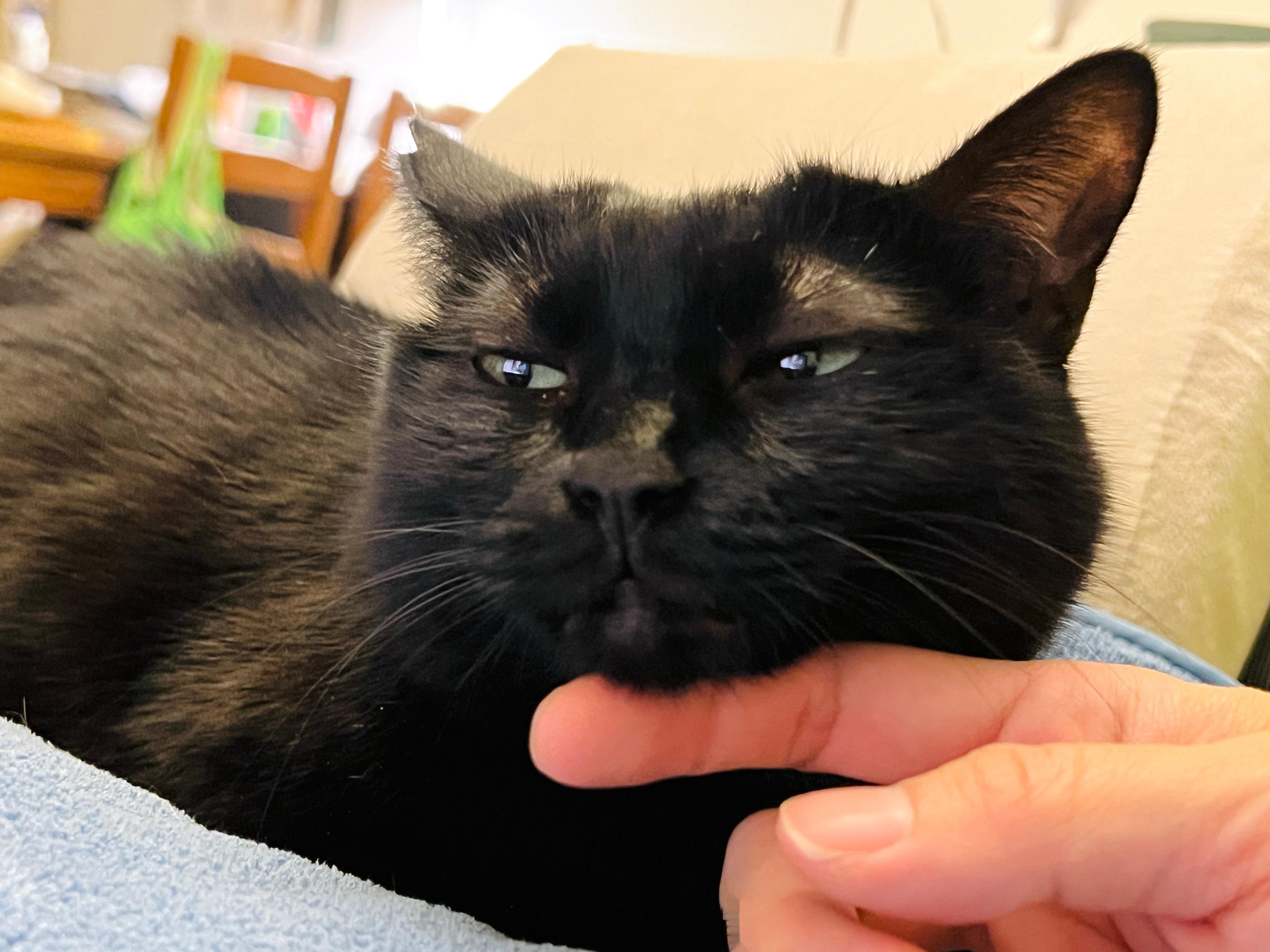 大家晚安🌙#蝦蝦不可以太可愛# ​​​