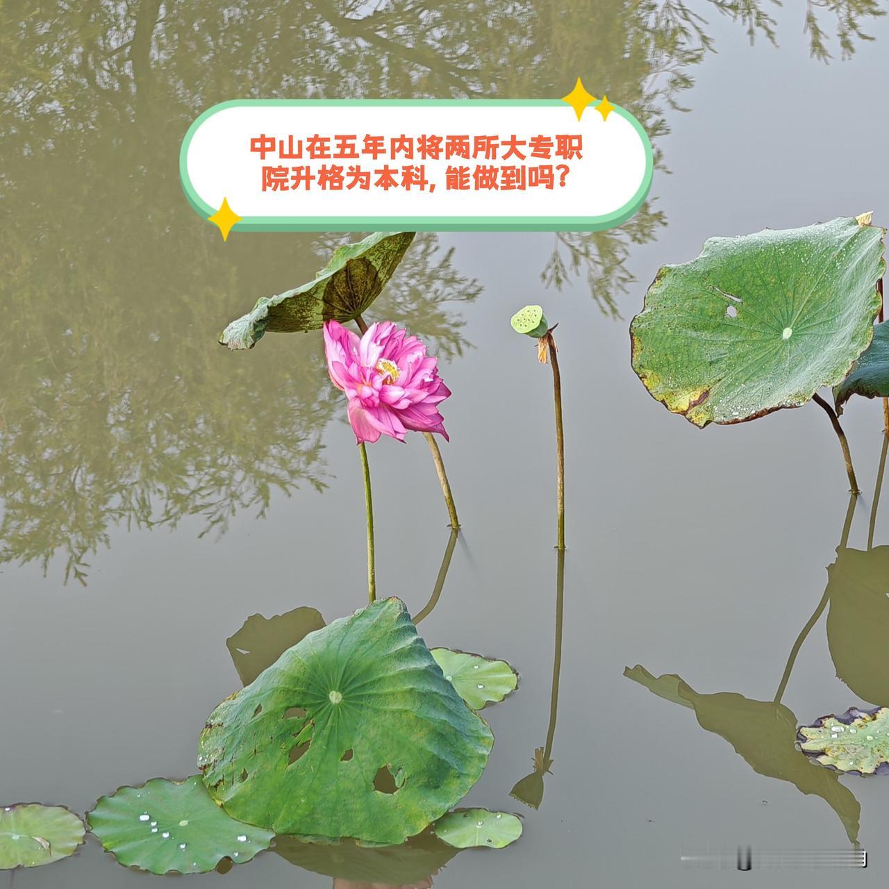 中山在五年内实现两所现有的大专职院升格为本科，能成功吗？中山市“十五五”规划正式