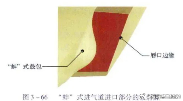 日耳曼赢学每天认识一件兵器 KAAN P1的CARET进气道隔道发现加强筋（图2