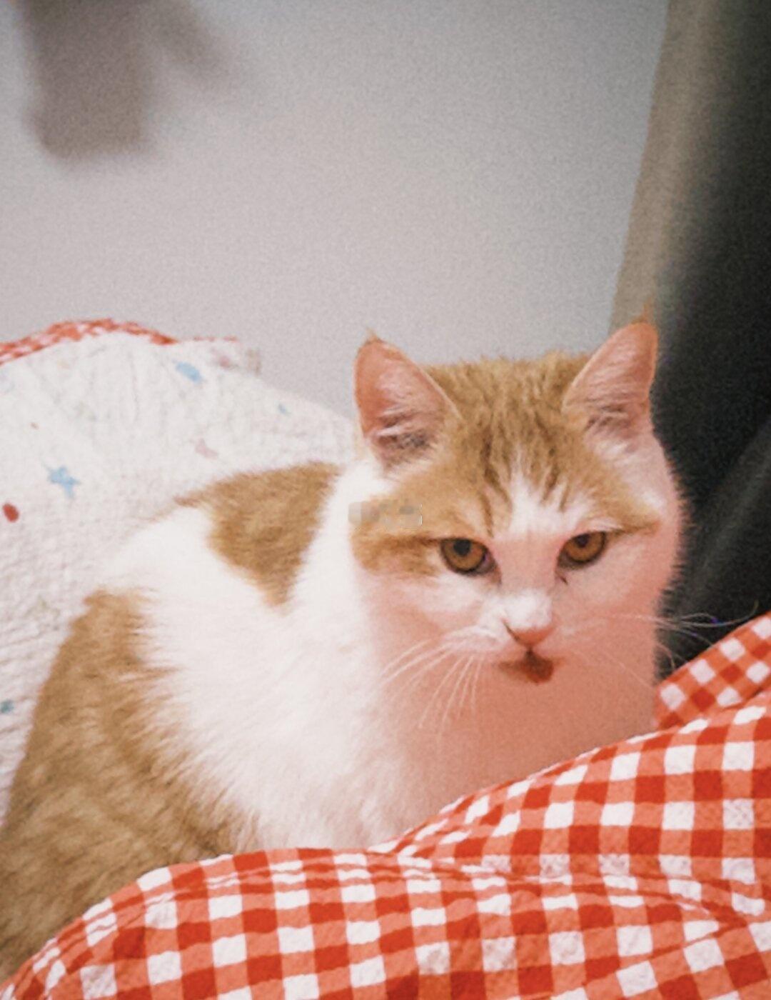 公交车挤我那么用力的大妈你真的需要让座吗
我请问呢？[鄙视]