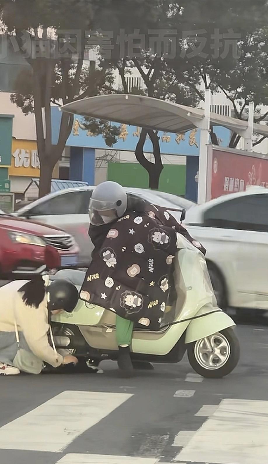 姑娘你上人民日报了！近日，江苏常州，一只流浪猫一瘸一拐在红绿灯路口爬行，眼看小黑