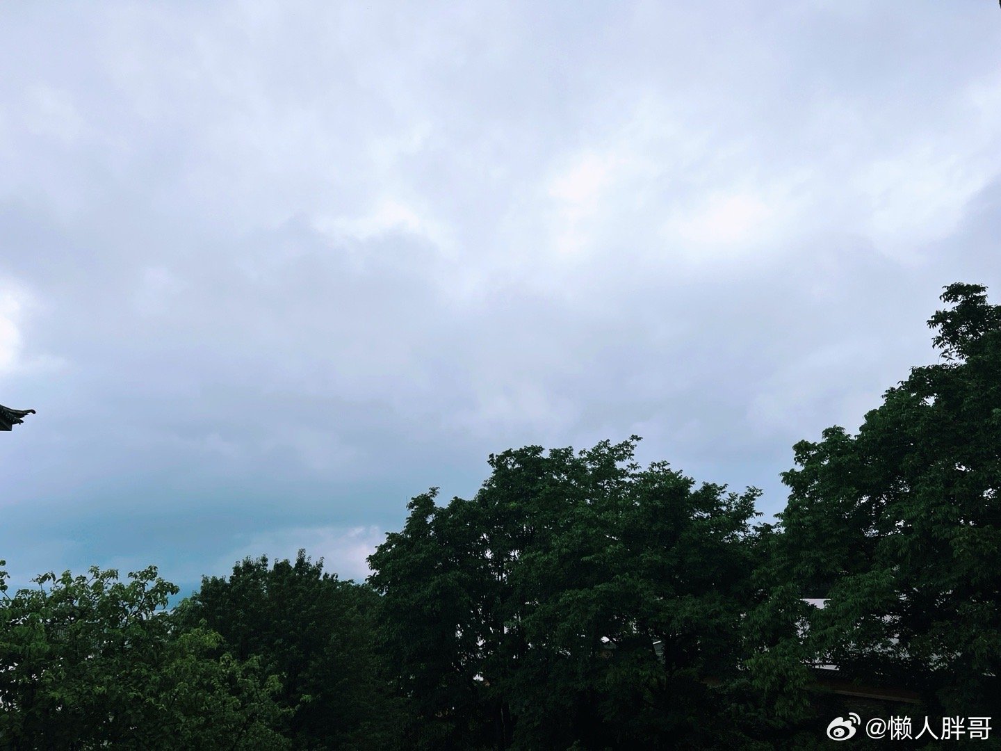 此时此刻 20260612。周五。四月廿七。夜及昼雨至无雨三天冒个泡 周五好！ 