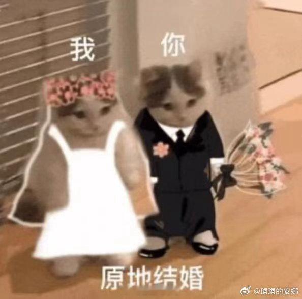 在上海领证一站式搞定备婚烦恼备婚的时候最头疼就是双方家庭磨合还有一堆琐事，经常搞