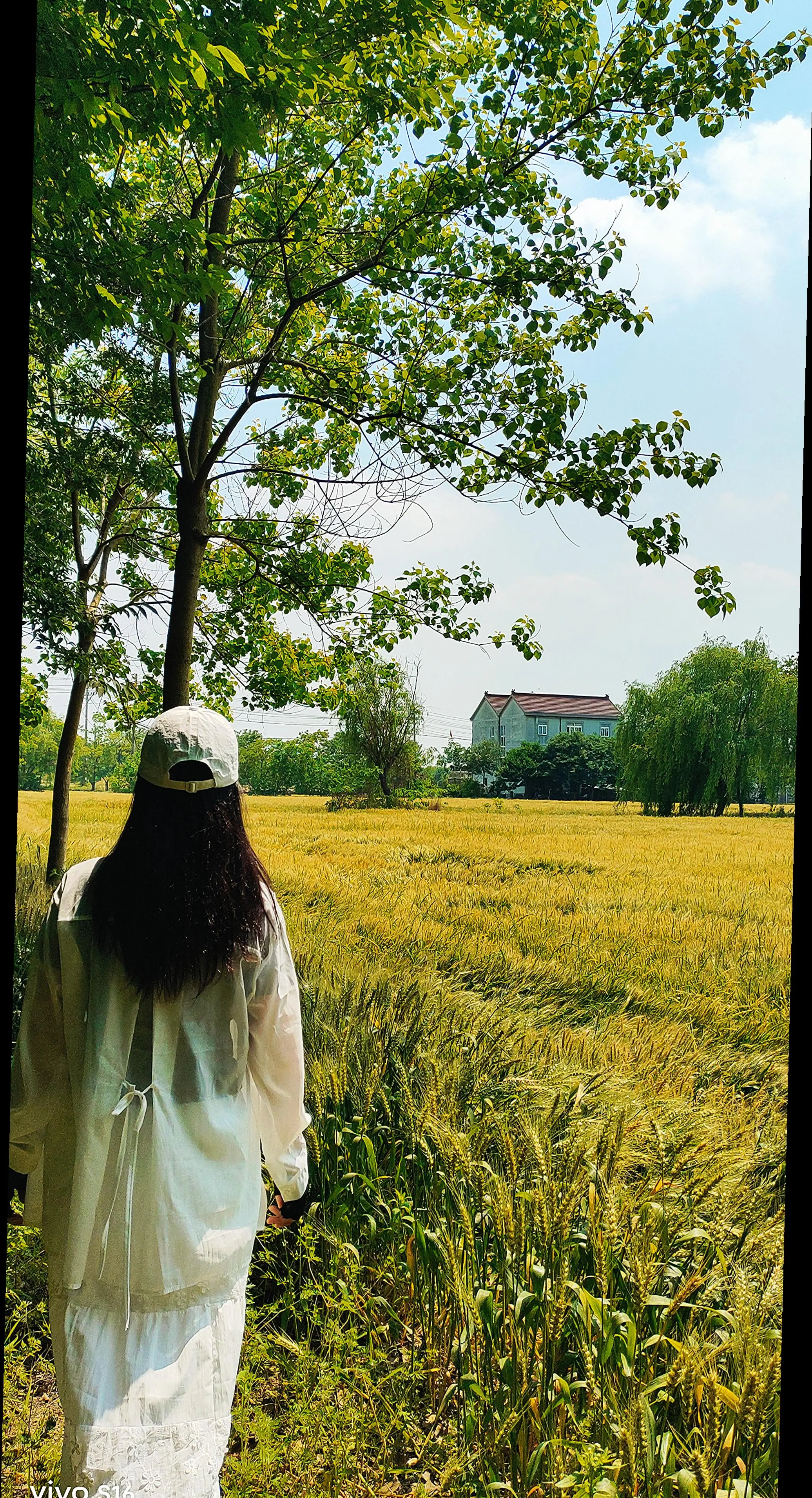 如果一直这样下去，那多美好
