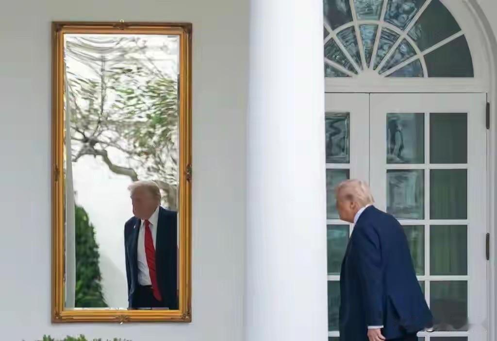 2025年美国地方选举结果出炉，民主党在关键州大获全胜，特朗普在真相社交平台上试