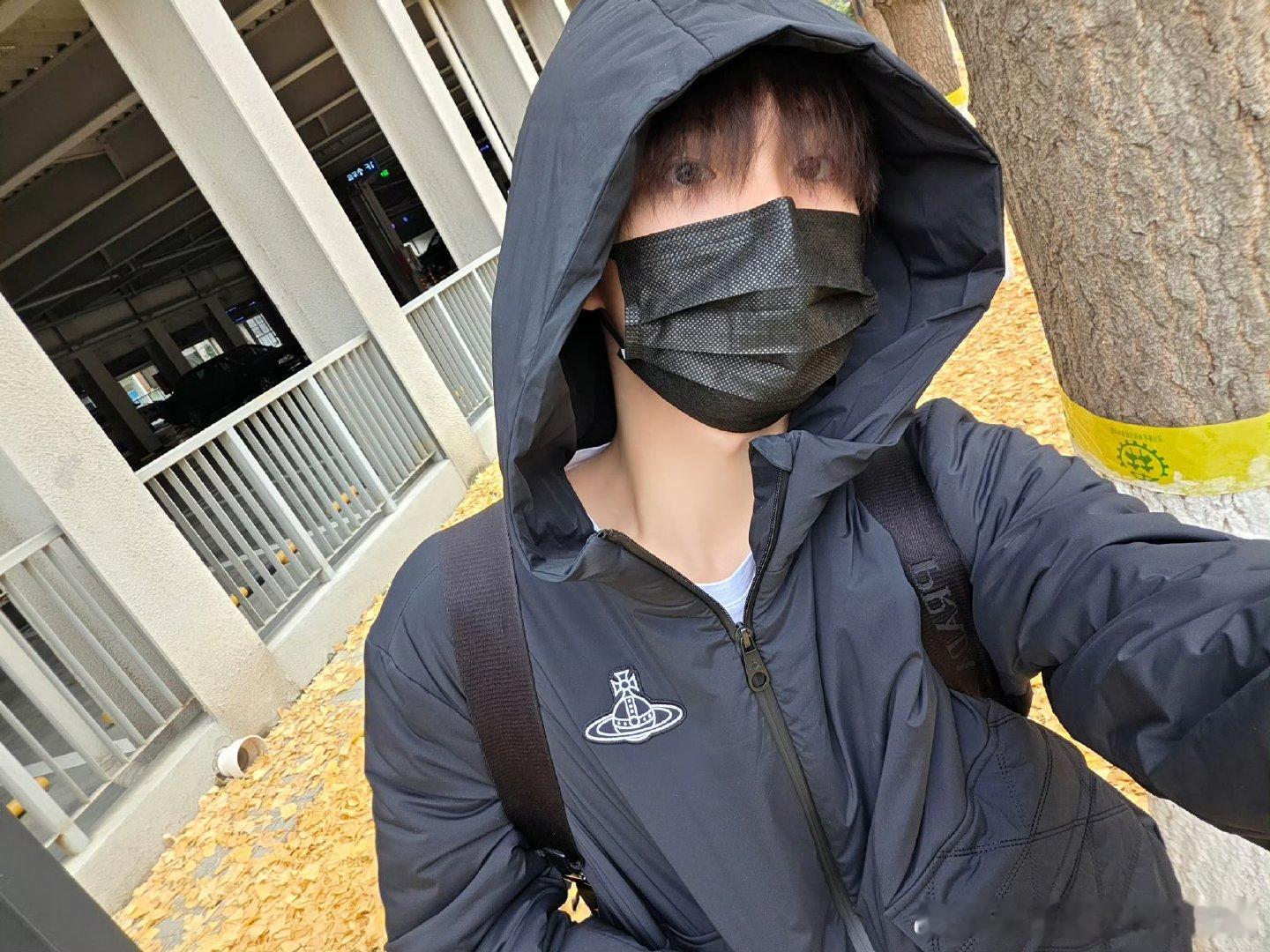 苏新皓九宫格营业暴击！顺毛自拍软萌乖感拉满，眉眼间的帅气直戳心巴，今日份心动被他