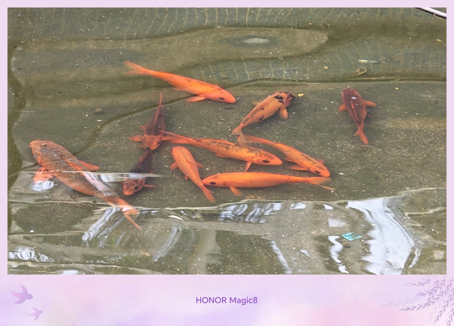 早起的鱼儿有食吃。今天四六级考试，希望都能过过过……每天早起打卡