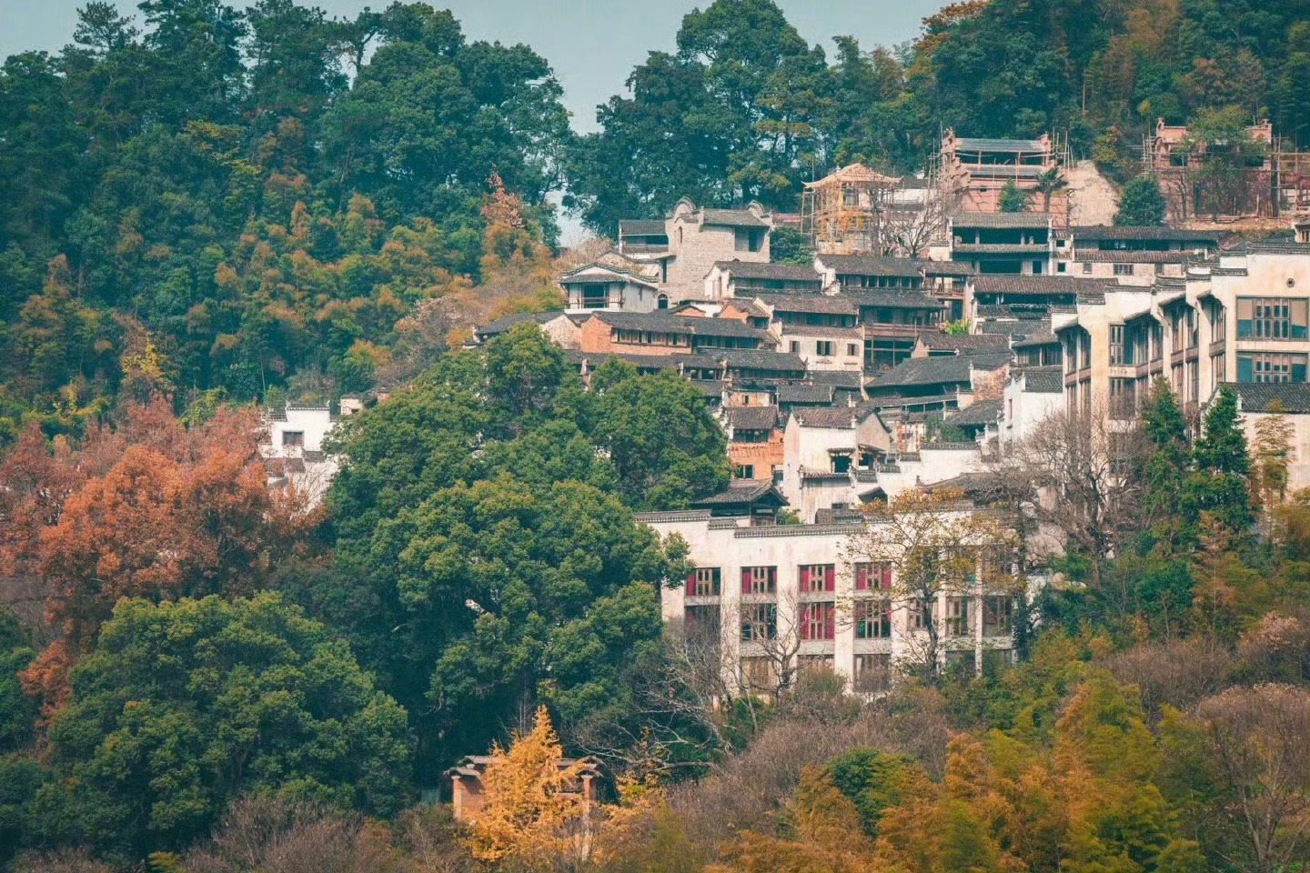 盛夏时分，在悠然的婺源篁岭晒秋古镇，感受宁静致远的美好时光。 ​ ​​​